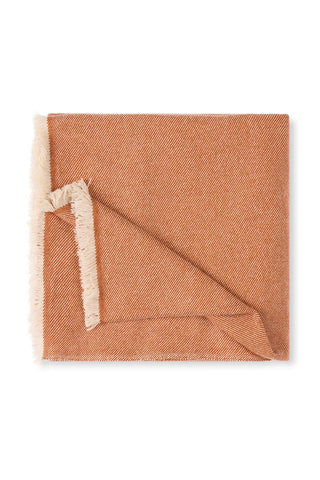 Folded brown blanket with beige trim on a white background